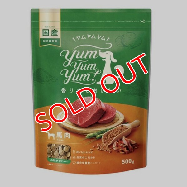 画像1: Yum Yum Yum!馬肉ドライタイプ【500ｇ】 (1)
