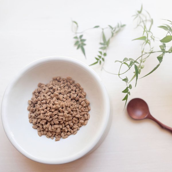 画像2: Yum Yum Yum!健康マネジメント消化サポート【50ｇ】 (2)