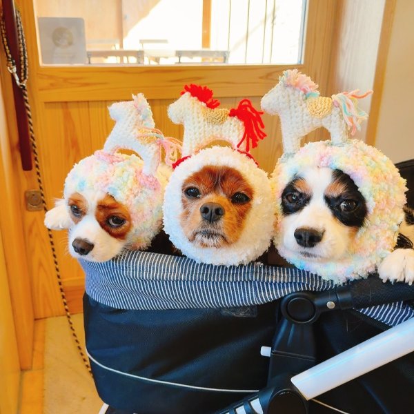 画像2: ウマの被り物(1)（白い糸に赤のたてがみ）Mサイズ (2)